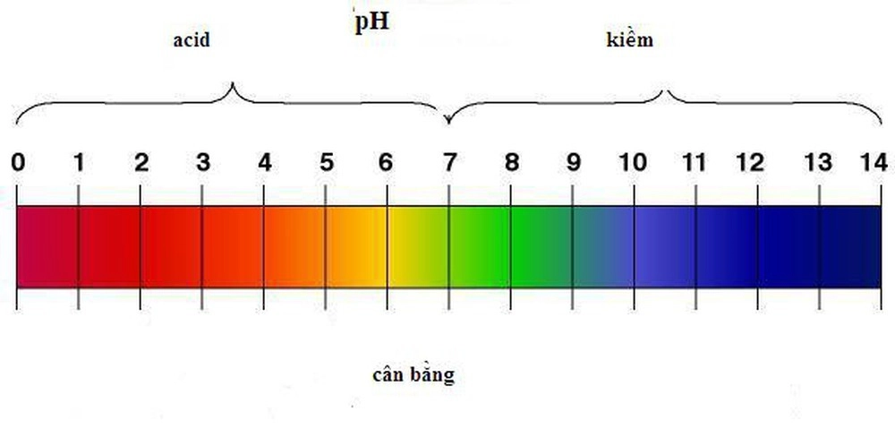 loi-ich-rui-ro-cua-nuoc-kiem