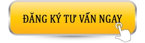 dang-ky-tu-van-ngay-1