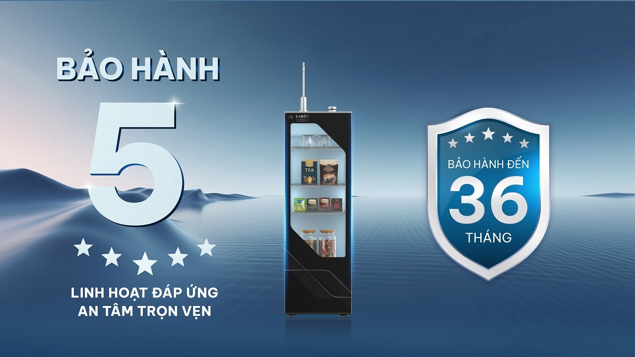 platinum-k20-12