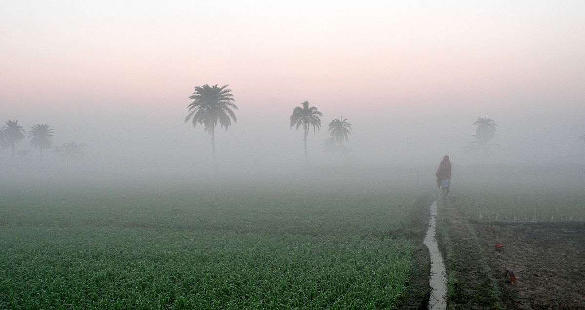 1200px-Agriculture_in_India%2C_Sunrise_time_at_a_village