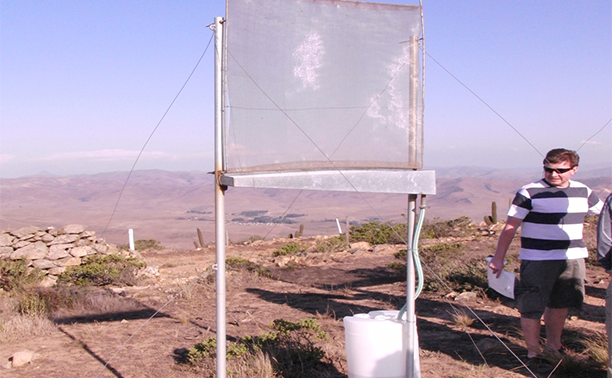 fog-catcher-mit