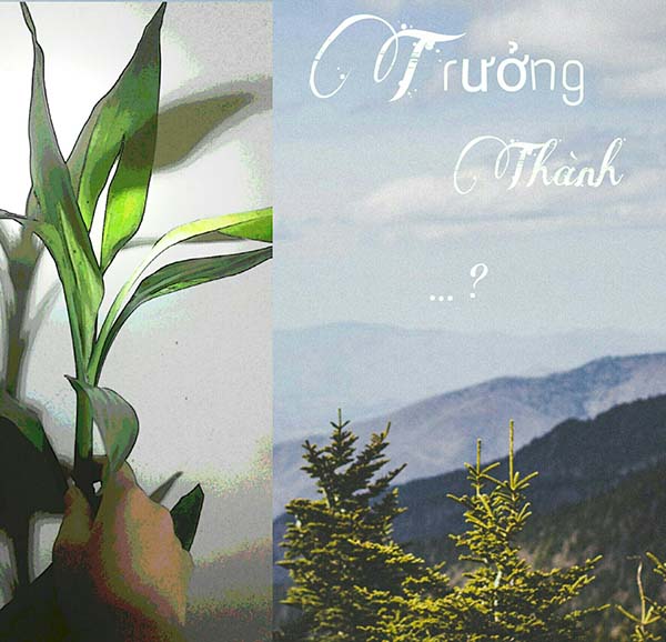 Trưởng thành của tôi tạo nên từ cuộc sống của chính mình