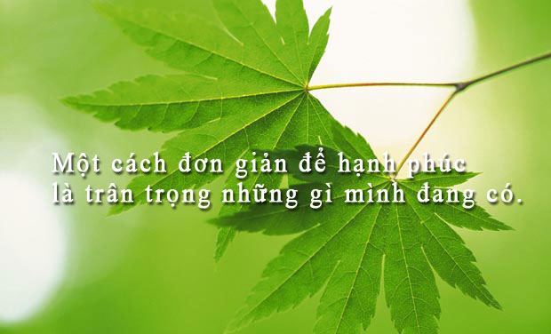 danh-ngon-hanh-phuc-226