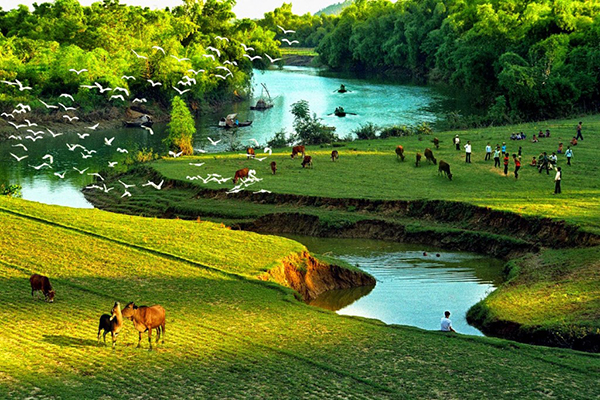 images2535773_phat_dong