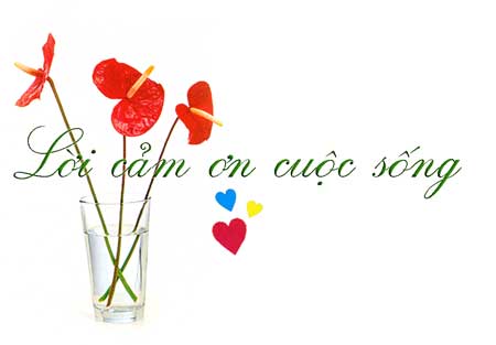 loi-cam-on-cuoc-song-