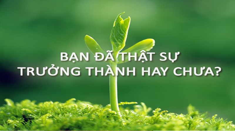 thuong-ngay-nhat-ki-cua-me-1