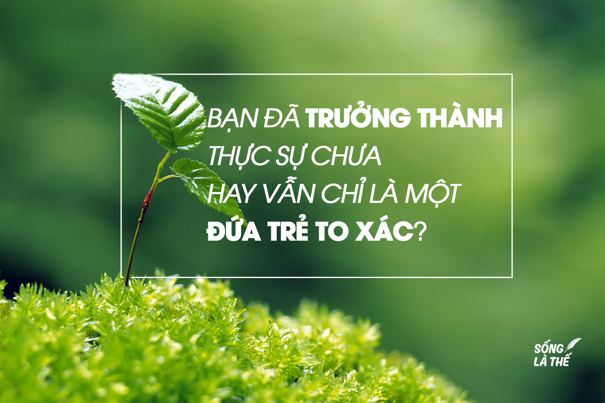 tran-phuong