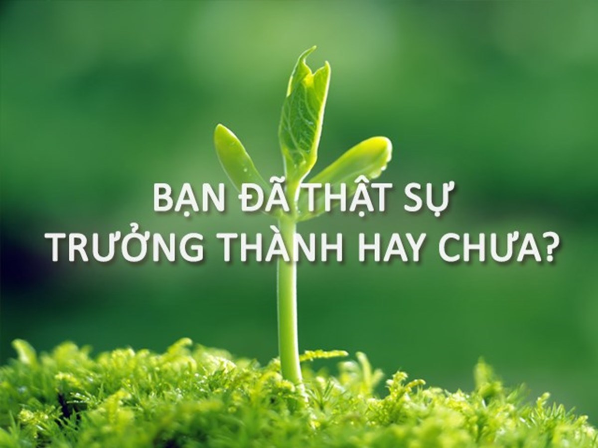 truong-thanh-2