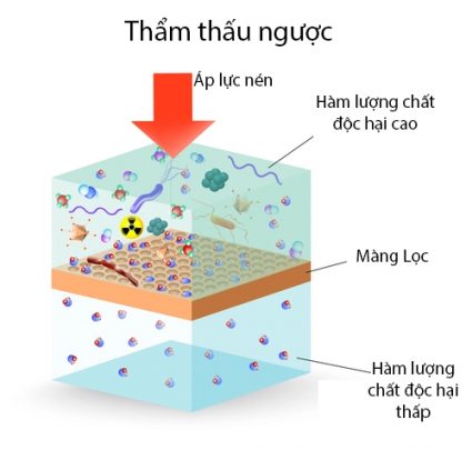 mang-loc-ro(1)