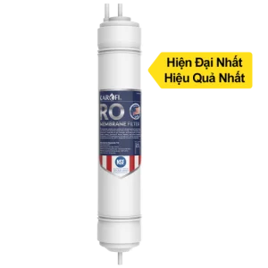 anh-loi-loc-ro-my-01